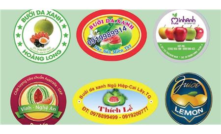 In Tem Nhãn Bắc Ninh – Đa Dạng Chất Liệu, Kích Thước Và Công Nghệ In