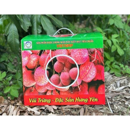 Túi giấy đựng trái cây cao cấp