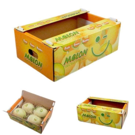 Thùng carton vận chuyển trái cây cao cấp
