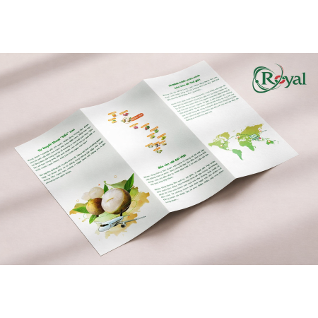 Brochure gấp ba giới thiệu doanh nghiệp