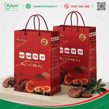 Túi Giấy