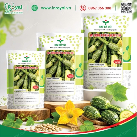 Túi Giấy