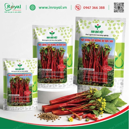 Túi Giấy