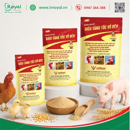 Túi Giấy