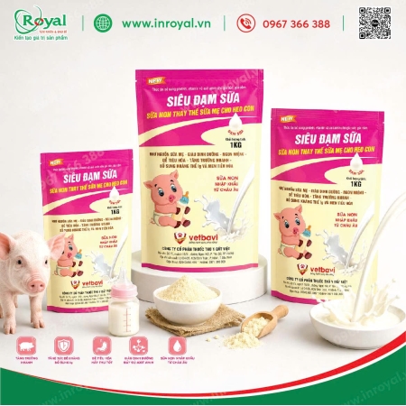 Túi Giấy