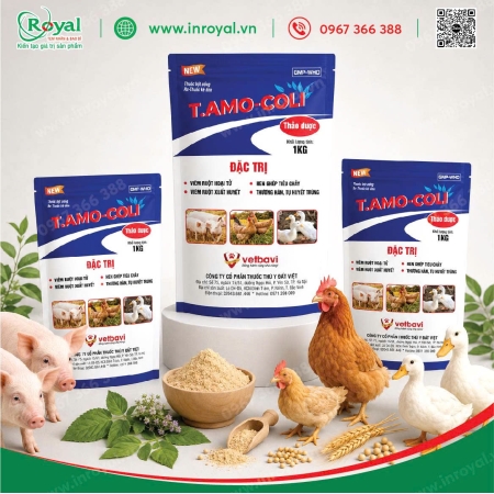 Túi Giấy