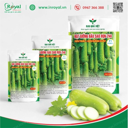 Túi Giấy