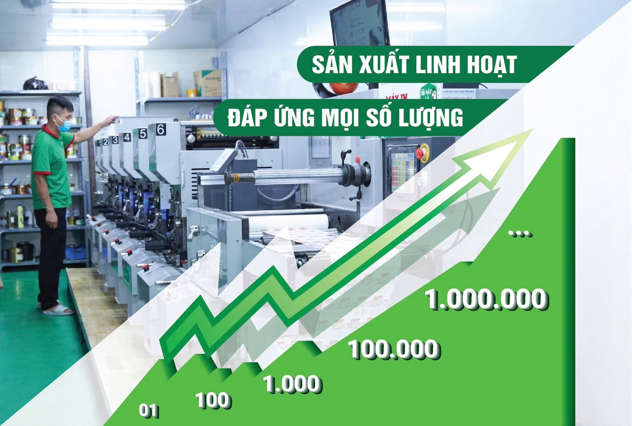 Năng lực in hộp giấy túi giấy công suất lớn tại xưởng In Royal