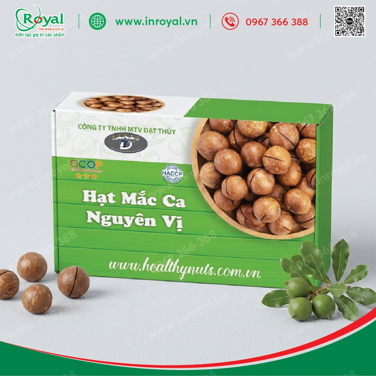 Hộp giấy nắp gài đựng hạt mắc ca Đạt Thủy