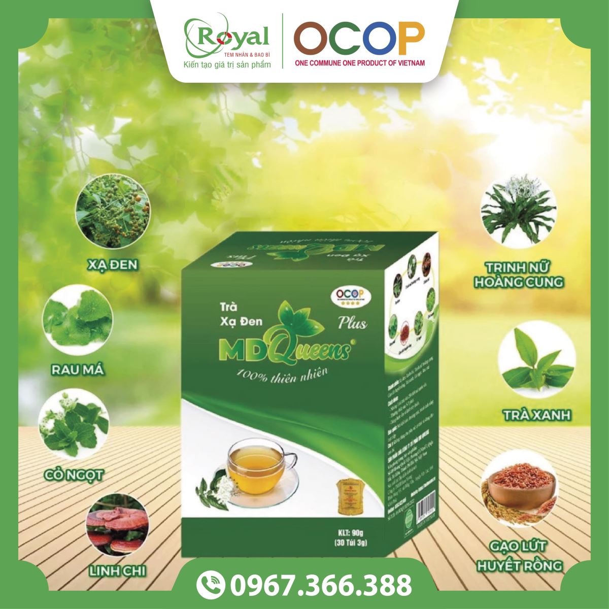 Hộp trà xạ đen chuẩn OCOP