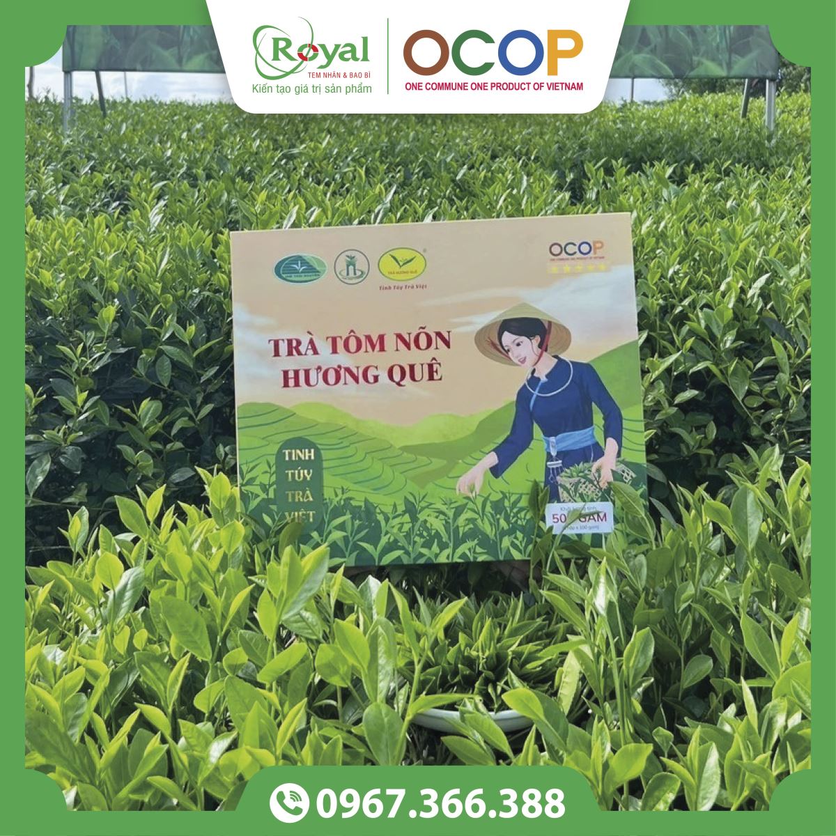 Hộp trà tôm nõn chuẩn OCOP