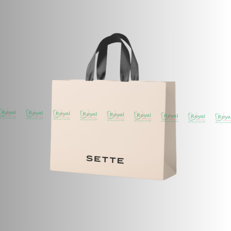 Túi giấy đựng thời trang