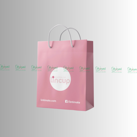 Túi giấy đựng thời trang