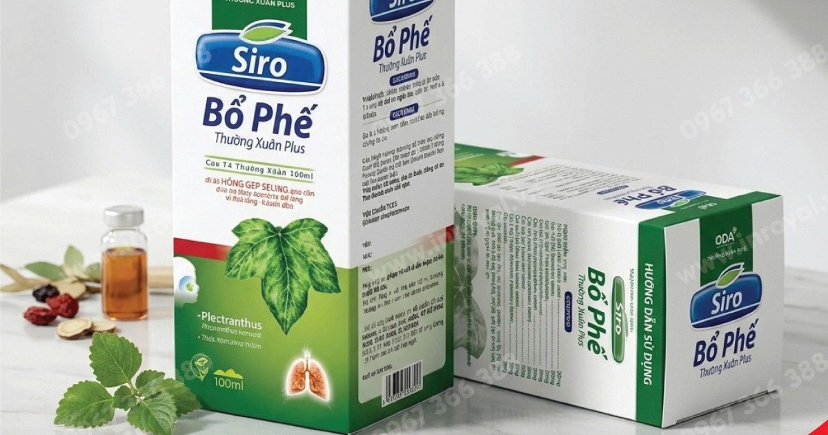 In Hộp Giấy Lấy Nhanh – Quy Trình Đặt In Và Những Yếu Tố Ảnh Hưởng Thời Gian