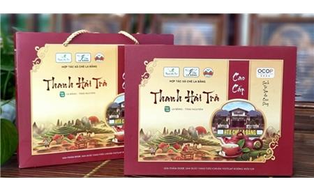 In hộp giấy đựng trà cao cấp – giữ hương, tăng giá trị