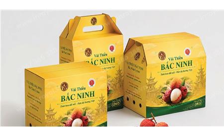 In Hộp Nông Sản – Bao Bì Chuyên Nghiệp Giúp Nâng Tầm Giá Trị Sản Phẩm
