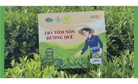 In Hộp OCOP – Xây Dựng Bao Bì Đồng Bộ, Chuyên Nghiệp Cho Sản Phẩm Địa Phương